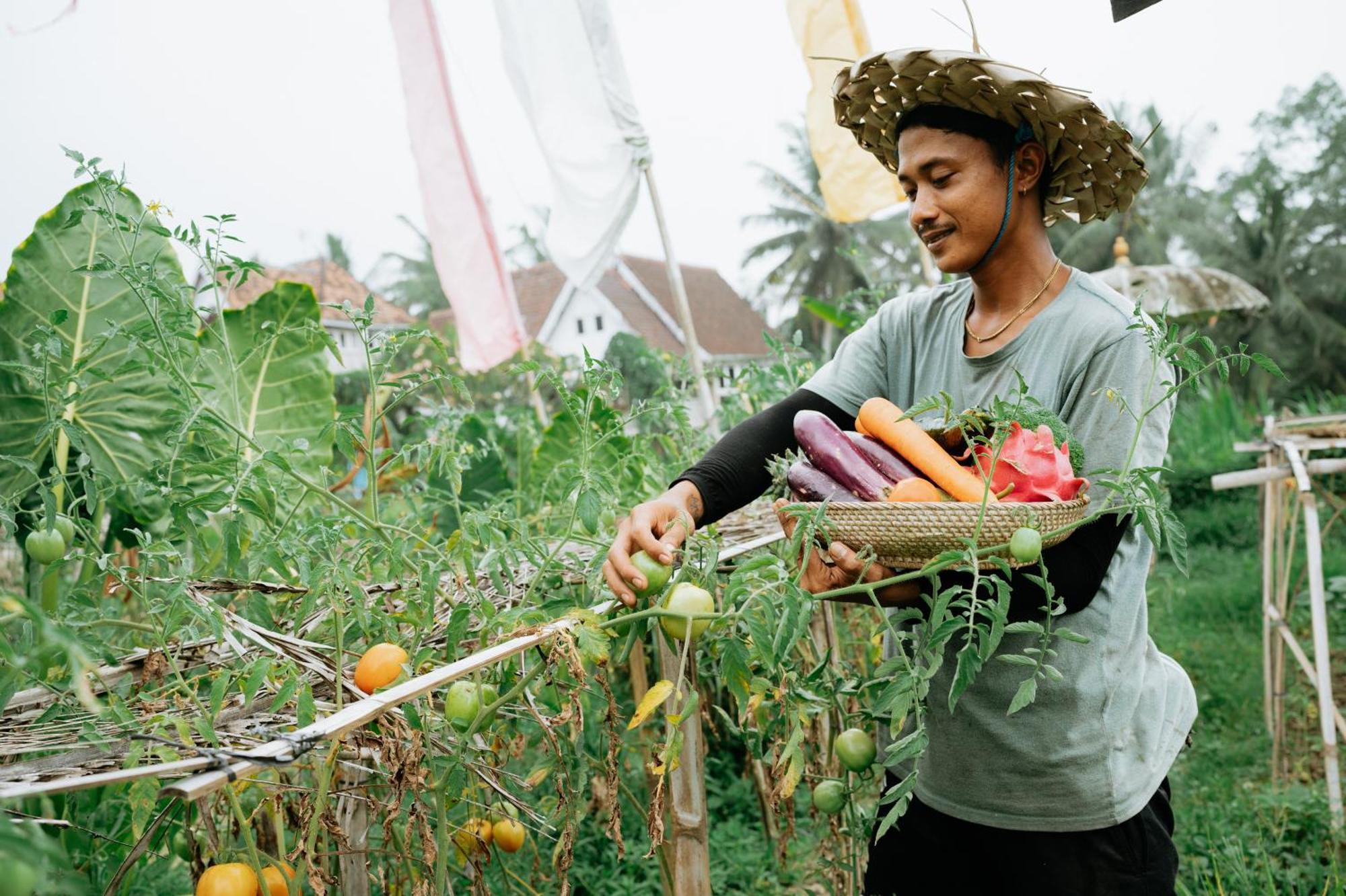The Rice Joglo Eco-Stay Ubud  Exterior photo